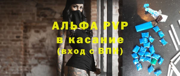 индика Зерноград