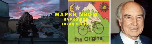 индика Зерноград
