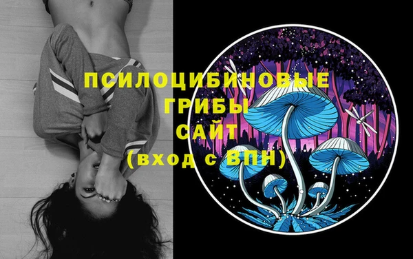 индика Зерноград