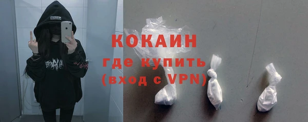 индика Зерноград