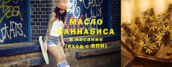 индика Зерноград