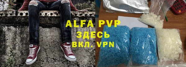 индика Зерноград