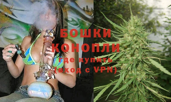 не бодяженный Снежногорск