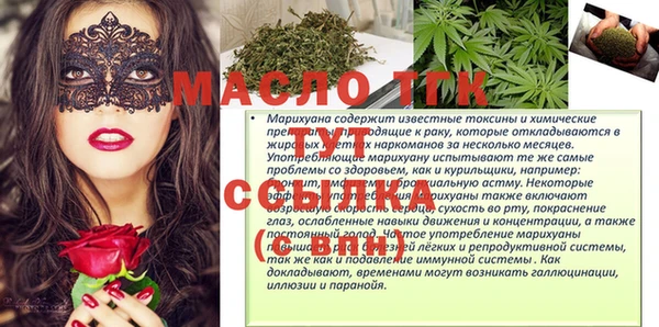индика Зерноград