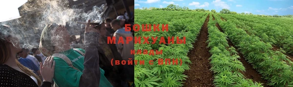индика Зерноград