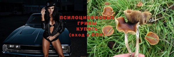 прущая мука Зеленокумск