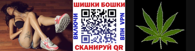 Купить где  Заинск  МАРИХУАНА ГИДРОПОН 